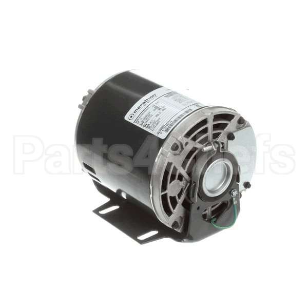 5009598 Compatible Multiplex Motor Carb Pump 120V Or 220V