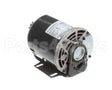 5009598 Multiplex Motor Carb Pump 120V Or 220V