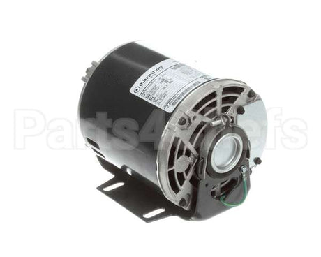 5009598 Multiplex Motor Carb Pump 120V Or 220V