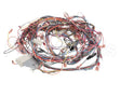 50107 Blodgett Harness,Bcx14E Manu Rear 24V