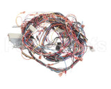 50107 Blodgett Harness,Bcx14E Manu Rear 24V