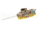 501753 Raypak Relief Valve
