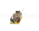 501753 Raypak Relief Valve