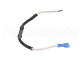 502853 Waring Fuse Lead Assembly.
