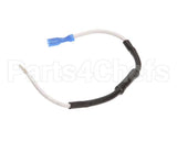 502853 Waring Fuse Lead Assembly.
