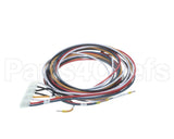 5028831 Alto Shaam Cable, Combined Gas Valve &