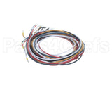 5028831 Alto Shaam Cable, Combined Gas Valve &