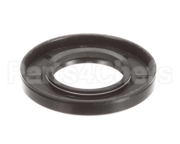 50310009 General Agitator Shaft Oil Seal Gem130