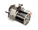 5031407 Multiplex Motor