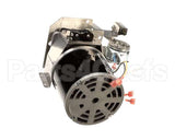 5031407 Multiplex Motor