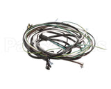 504-764C Beverage Air Harness - Wiring Sp60/72