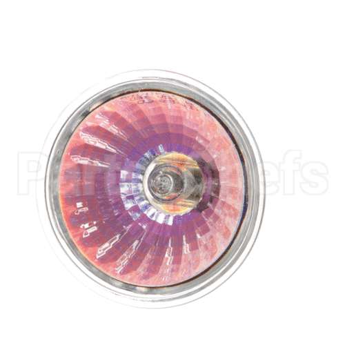 504587.07 Miwe Halogen Reflector Lamp G5.3 12 V 50