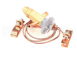 50794906 Victory Valve Expansion Efj-1/4-C 2Sx3 Odf 3