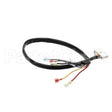 50831702 Compatible Victory Wire Harness-Evco Warmer Control
