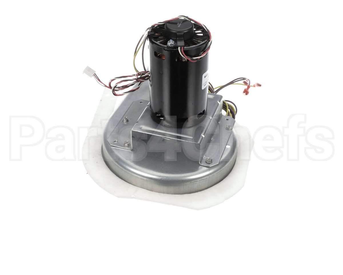 50DK406815 Bryant Payne Combustion Blower Motor