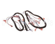 512299 Duke Harness,Proofer Lgts.&Bpr
