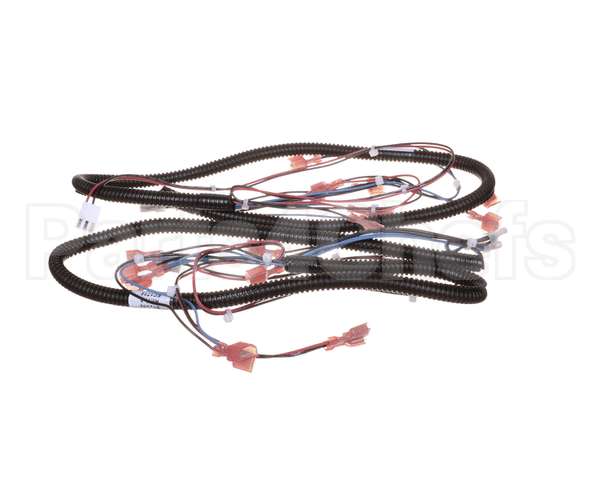 512299 Duke Harness,Proofer Lgts.&Bpr