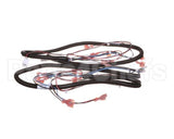 512299 Duke Harness,Proofer Lgts.&Bpr