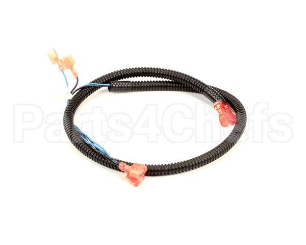 512590 Duke Harness,Oven Lights