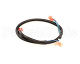 512590 Duke Harness,Oven Lights