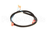 512590 Duke Harness,Oven Lights