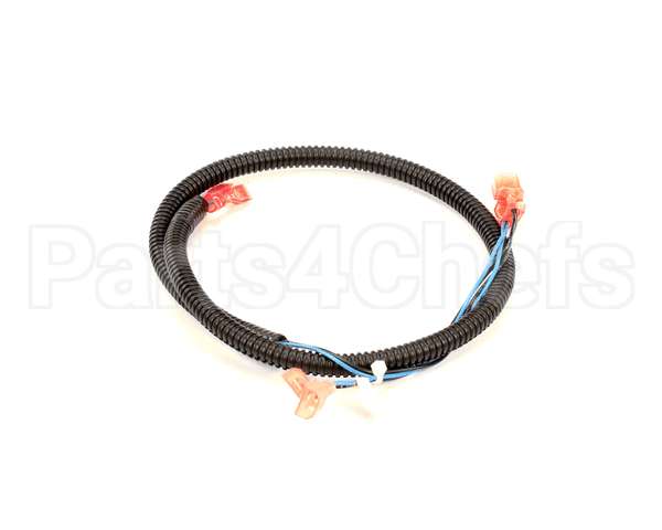512590 Duke Harness,Oven Lights