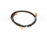 512590 Duke Harness,Oven Lights