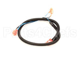512590 Duke Harness,Oven Lights