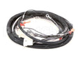 512763 Duke Harness,Oven Tsc