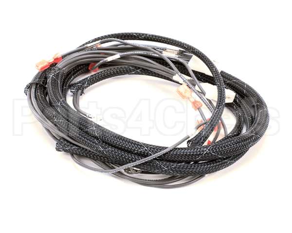 512763 Duke Harness,Oven Tsc