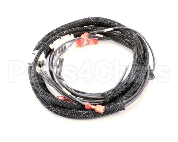 512763 Duke Harness,Oven Tsc