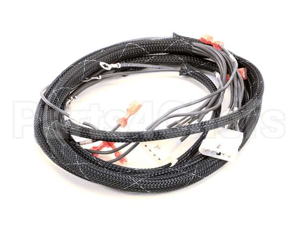 512763 Duke Harness,Oven Tsc