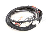 512763 Duke Harness,Oven Tsc