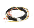 512764 Duke Harness,Proofer Tsc