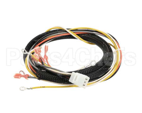 512764 Duke Harness,Proofer Tsc