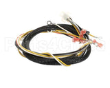 512764 Duke Harness,Proofer Tsc