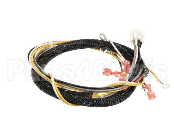 512764 Duke Harness,Proofer Tsc