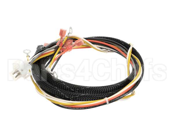 512764 Duke Harness,Proofer Tsc