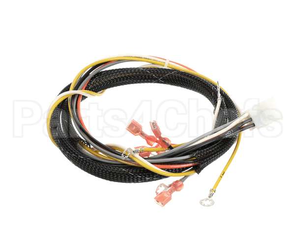 512764 Duke Harness,Proofer Tsc