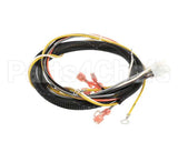 512764 Duke Harness,Proofer Tsc