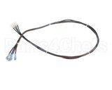 515-240D-32 Beverage Air Four Wire Harness- Dixell, 32