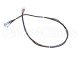515-240D-32 Beverage Air Four Wire Harness- Dixell, 32