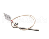 51516 Blodgett Probe,Rtd W/3/16 Terminal