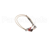51516 Blodgett Probe,Rtd W/3/16 Terminal