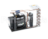 516816 Duke Unit, Cond 1/5Hp 220V 50Hz R13