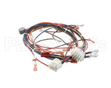 51751 Blodgett Harness,Front,Xr8-G,Ssd,2Spee
