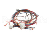 51751 Blodgett Harness,Front,Xr8-G,Ssd,2Spee