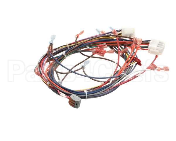 51751 Blodgett Harness,Front,Xr8-G,Ssd,2Spee