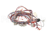 51995 Blodgett Harness,Xl50E Kfc 24V Relay Bo