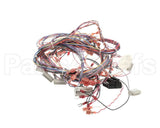 51995 Blodgett Harness,Xl50E Kfc 24V Relay Bo